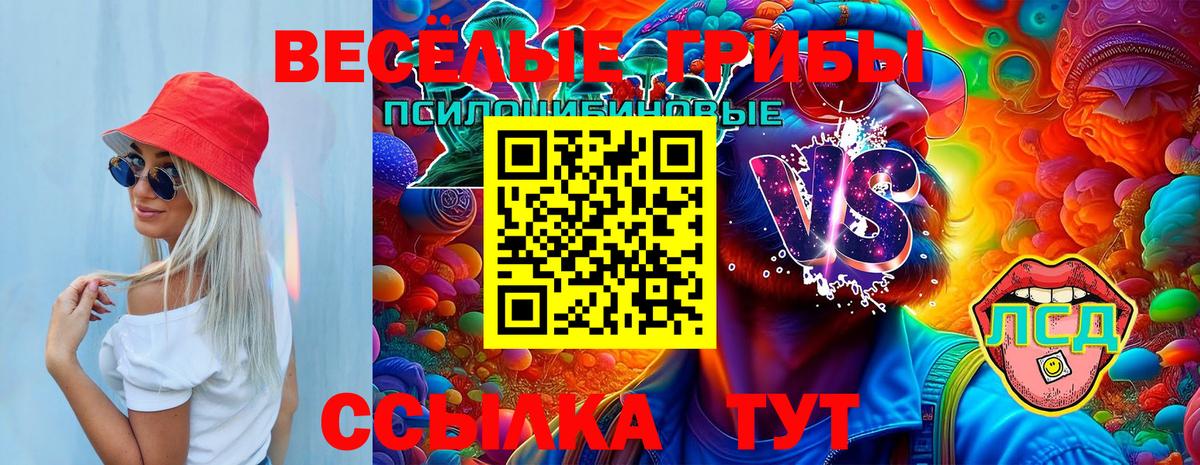 Галлюциногенные грибы Psilocybine cubensis Калуга